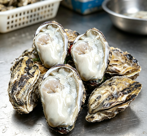 Fresh Raw Oysters